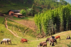 Random Photos