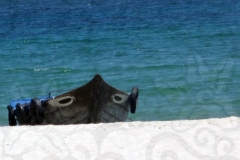 boat-on-beach