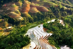 gigantic-ha-giang