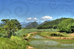 scenery-on-ho-chi-minh-trail