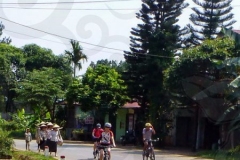 Cycling Past Vietnamese Workers