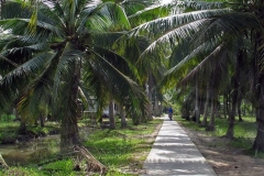 Beautiful Paths to Bike