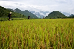 bicycle-tour-in-vietnam