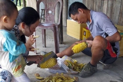 Delicious Pineapple for Snack