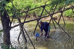 Monkey Bridge