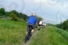 Mountain Bike Tours