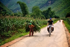 Phong Bicycling