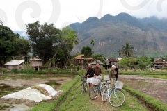 Tourists Bicycling