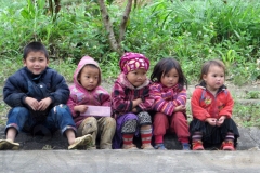 Vietnamese Children