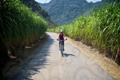 Woman Bicycling in Vietnam