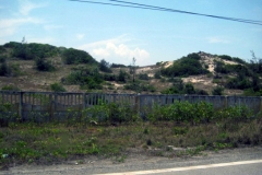 wall