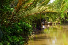 Boat-in-Mekong-Delta