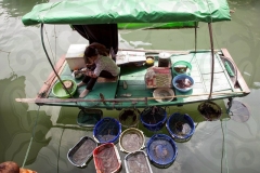 Halong Fish Vendor