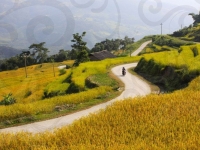 scenic-motorcycle-drive