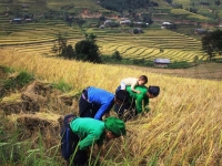 women-in-field