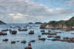 boats-around-the-bay