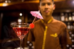 drink-in-ha-long-bay