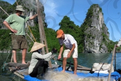 Fishing in Ha Long Bay