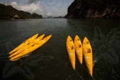 returning-kayaks