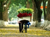 Phan Dinh Phung 3