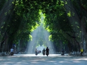 Phan Dinh Phung 5