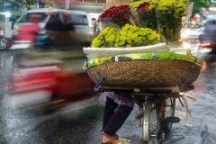 Hanoi - Flower Seller