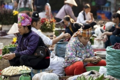 Market 5