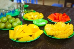 Vietnam-tropical-fruit