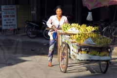 Bananas for Sale
