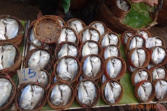 fish-for-sale