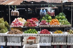 Local Vietnamese Fruits