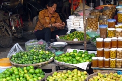 Products Made with Lemons