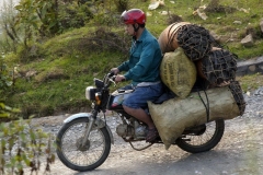 Motor Bike Madness 5