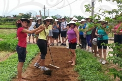 Village-tour-in-Hoi-An