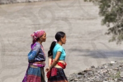Black Viet Women