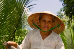 In-Mekong