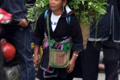 Sapa Trader