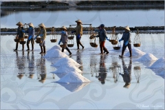 Collecting Rice