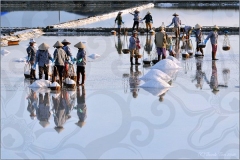 Collecting Rice