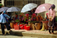 Roadside Market