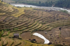 More Terraces