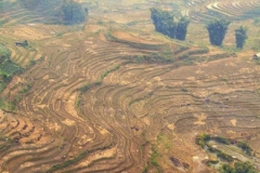 Paddy Fields HDR 2