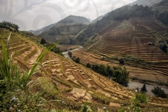 Terraced Valley