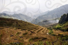 Terraces