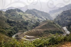 Terracing 2