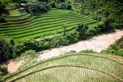 Rice Terrace