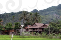 Village
