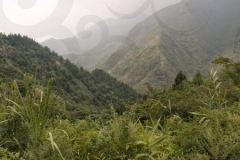 Hills