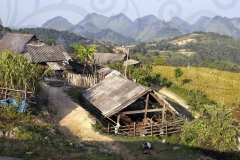 Homestead