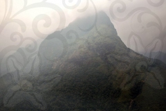 Jungle from Sapa
